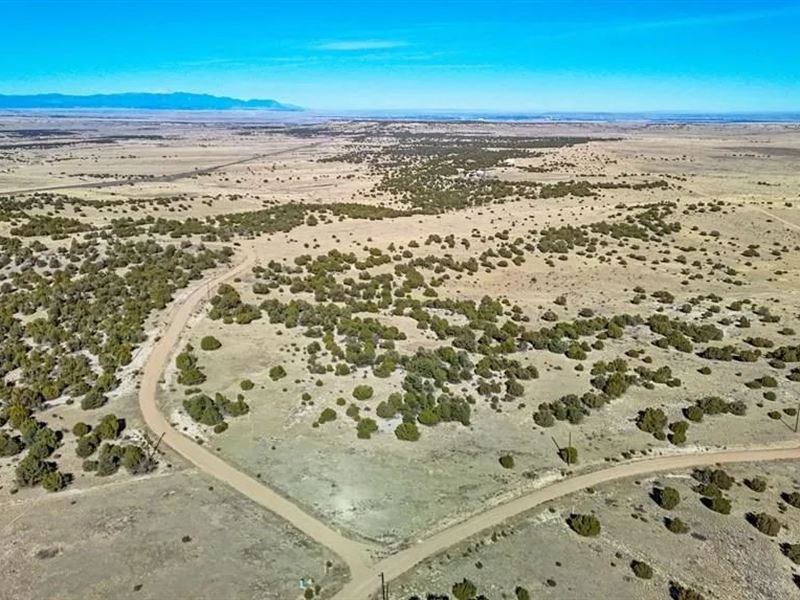 Lot 25 Cedarwood Station Pueblo, CO : Pueblo : Pueblo County : Colorado