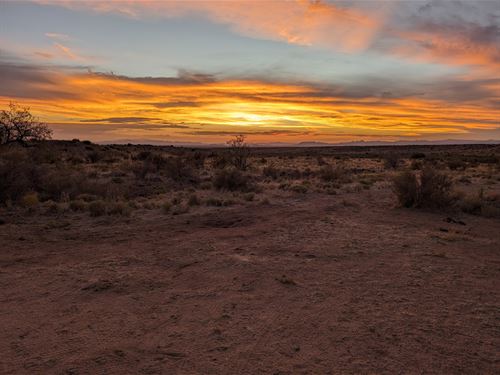 Bradbery Ranch : Lordsburg : Hidalgo County : New Mexico