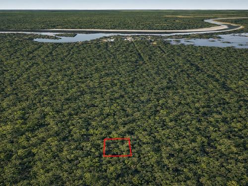 .23 Acre Near Old River Lake, $15 : Cleveland : Liberty County : Texas