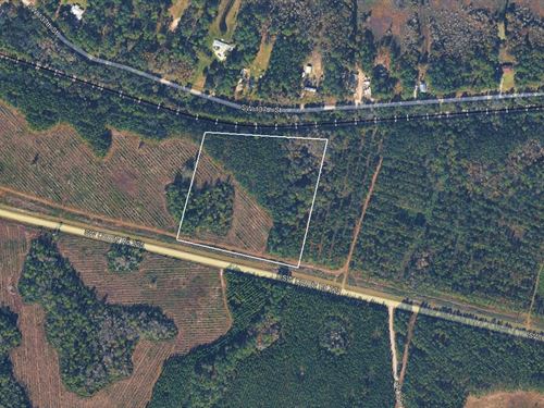 Old Cypress Farms Lot 5 : Starke : Bradford County : Florida