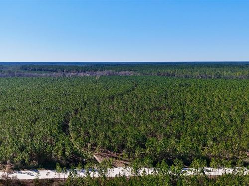 30 Acres on Owens Road in Wayne Cou : Odum : Wayne County : Georgia