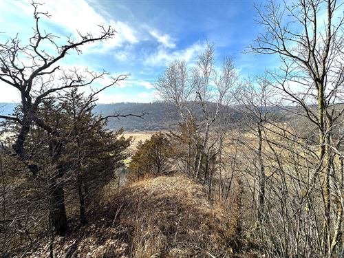 Sleepy Hollow Haven : Gays Mills : Crawford County : Wisconsin