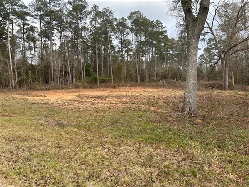 1 Acre I McComb, MS : McComb : Pike County : Mississippi