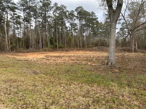 1 Acre I McComb, MS : McComb : Pike County : Mississippi