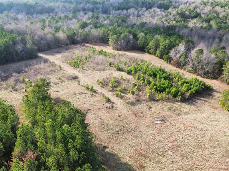 24 Acres Chambers County, AL : Lanett : Chambers County : Alabama