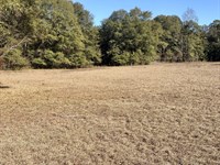 10-060 Monterey Road 3 : Forest Home : Butler County : Alabama