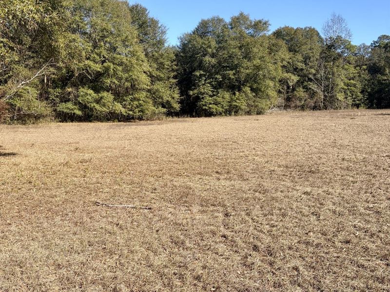 10-060 Monterey Road 3 : Forest Home : Butler County : Alabama