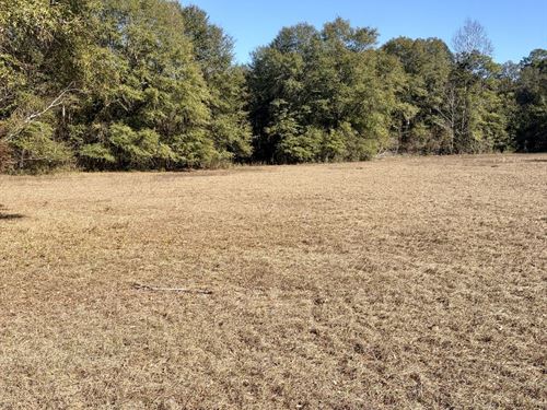 10-060 Monterey Road 3 : Forest Home : Butler County : Alabama