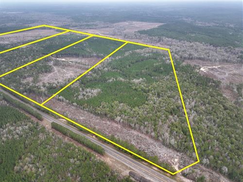 61 Acres, T-1, Highway 190, 0122 : Newton : Texas