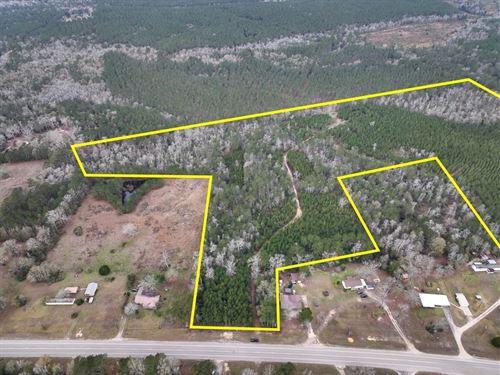 26 Acres, T-1, Highway 87, 00875 : Newton : Texas