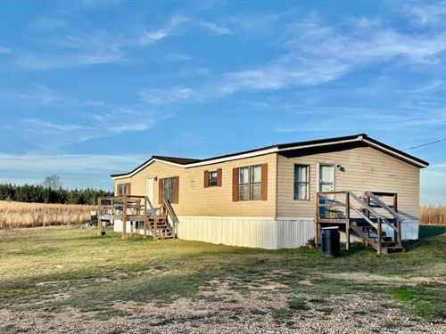3Br Home on 2 Acres in Jayess, Miss : Jayess : Walthall County : Mississippi