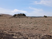 Simplify Life with Wide-Open Spaces : Concho : Apache County : Arizona
