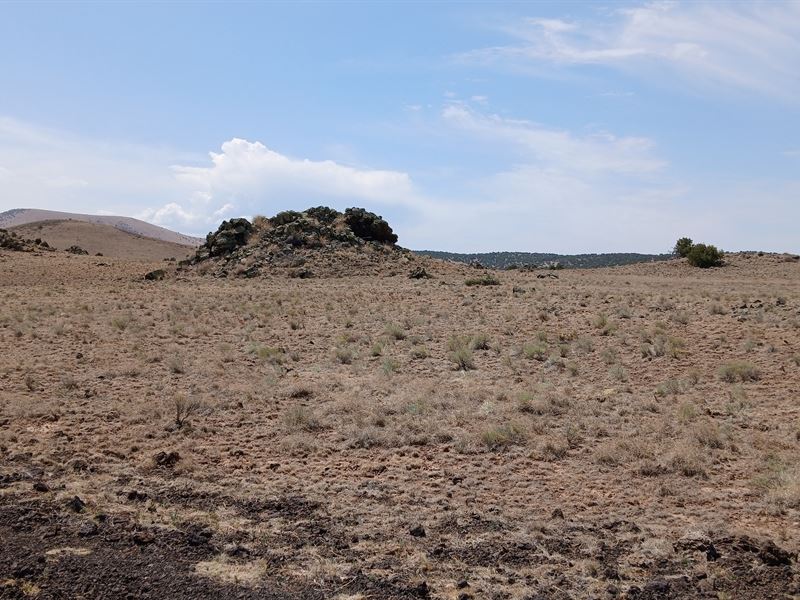 Simplify Life with Wide-Open Spaces : Concho : Apache County : Arizona