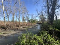 Meadow & Woods Along Keshequa Creek : Nunda : Livingston County : New York