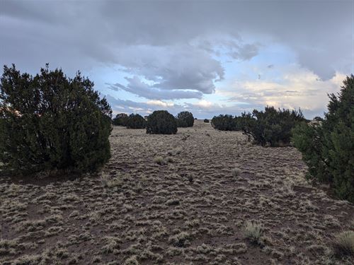 Camp, Rv, Mobile Home, Relax, Enjoy : Concho : Apache County : Arizona