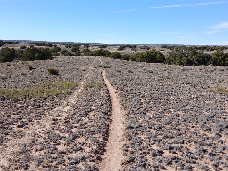 1.29 Acres of Pure Arizona Freedom : Chambers : Apache County : Arizona