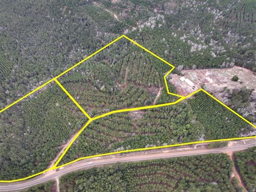11 Acres, T-2, County Road 1019 : Newton : Texas