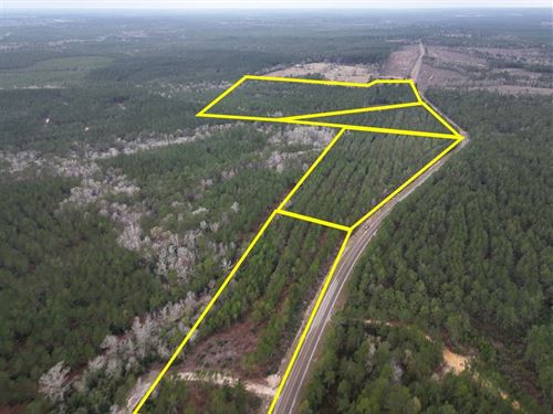 11 Acres, T-3, FM 1012, 02450 : Newton : Texas