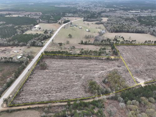 21 Acres, T-1, County Road 3038 : Newton : Texas