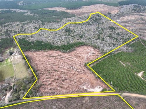 99 Acres, T-1, County Road 4590 : Spurger : Tyler County : Texas