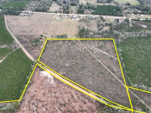 24 Acres, T-2, County Road 4590 : Spurger : Tyler County : Texas