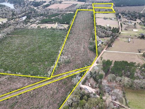 28 Acres, T-3, County Road 4590 : Spurger : Tyler County : Texas