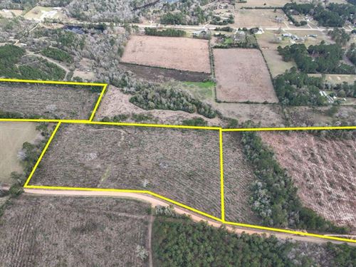 17 Acres, T-4, County Road 4590 : Spurger : Tyler County : Texas