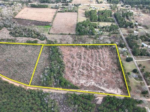 20 Acres, T-5, County Road 4590 : Spurger : Tyler County : Texas