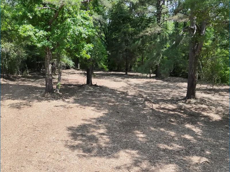 2.8 Acre Homesite in Madison County : Ridgeland : Madison County : Mississippi
