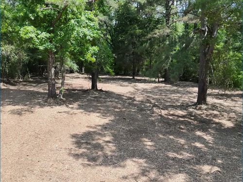 2.8 Acre Homesite in Madison County : Ridgeland : Madison County : Mississippi