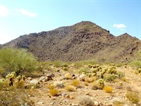 Private 2.35 Acre Arizona Getaway : Yucca : Mohave County : Arizona