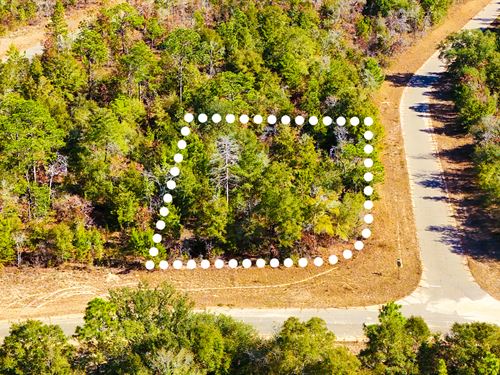 Corner Lot, No HOA, $1 Down : Chipley : Washington County : Florida