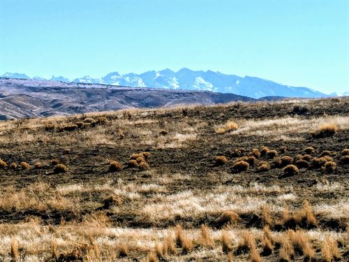 2.35 Acres of Pure Isolation : Elko : Nevada