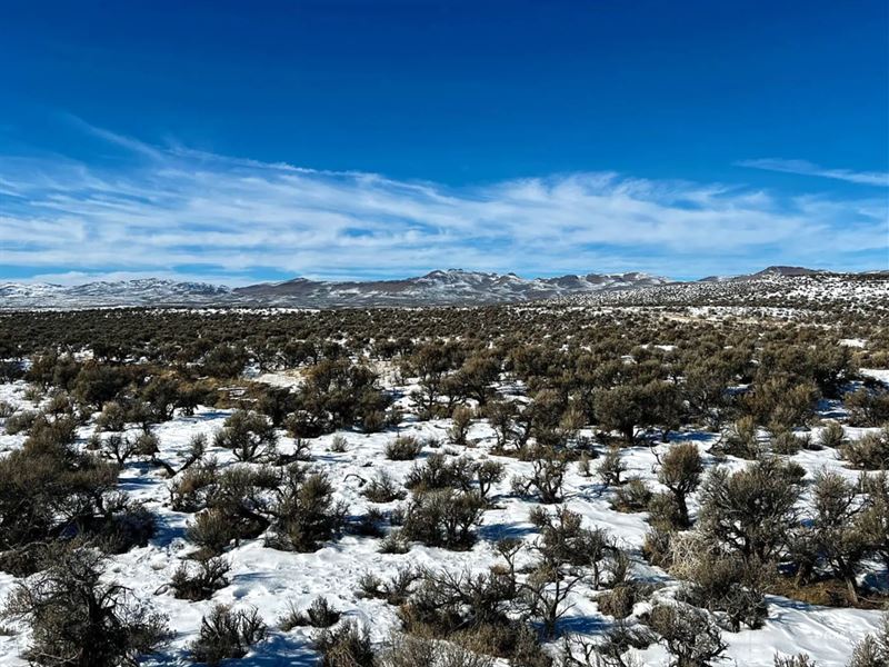 Private 1.03 Acre Nevada Retreat : Elko : Elko County : Nevada
