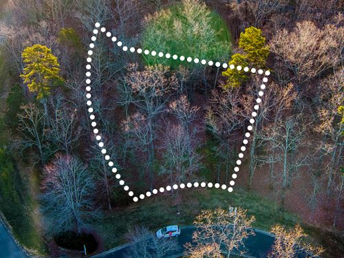 Wooded Lot with Owner Financing : New London : Montgomery County : North Carolina