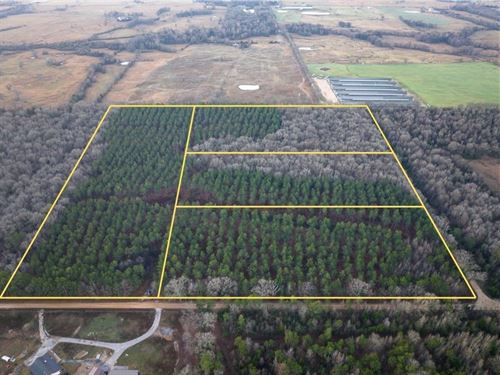10 Acres, T-1, County Road 4302 : De Kalb : Bowie County : Texas