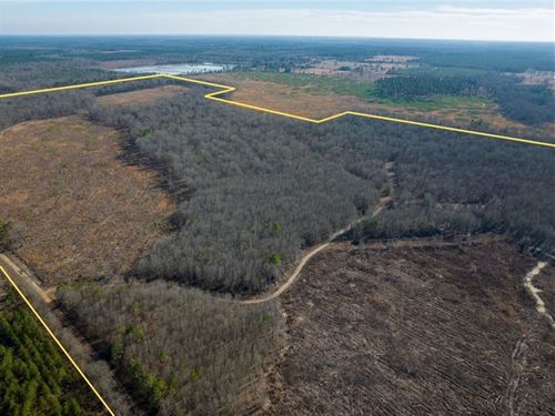 630 Acres, Highway 37, 3873 : Bagwell : Red River County : Texas
