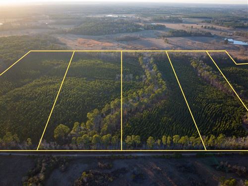 23 Acres, T-2, County Road 4415 : Annona : Red River County : Texas