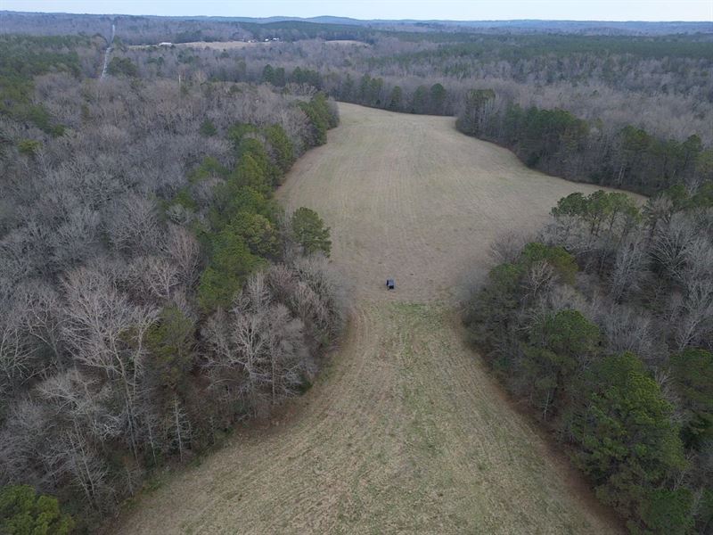 132 County Rd 2 Fayette/Lamar Co : Kennedy : Lamar County : Alabama
