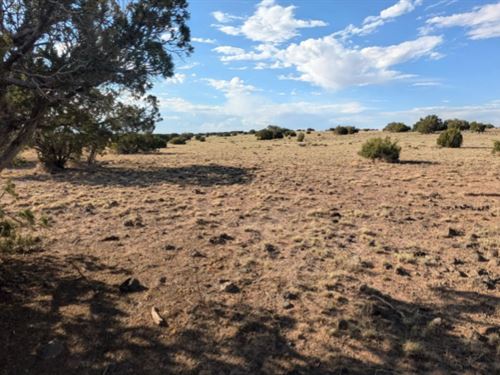 Amazing Arizona Property Awaits : Concho : Apache County : Arizona