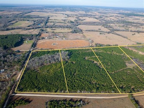 80 Acres, T-6, County Road 4245 : De Kalb : Bowie County : Texas