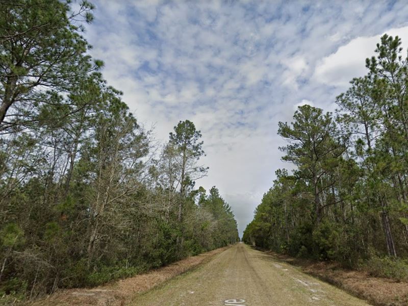 Flat, Buildable Land Just $443/Mo : Hastings : Flagler County : Florida