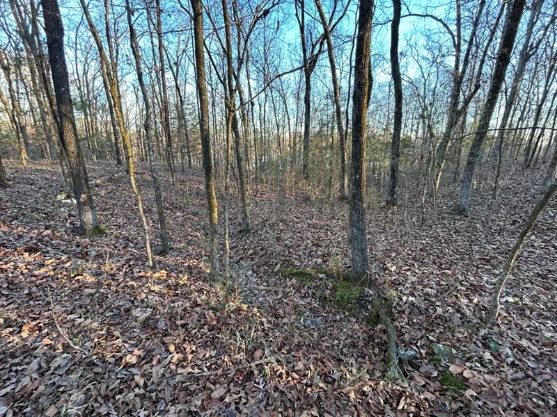 8 Acres Tract 5 in Polk County : Mena : Polk County : Arkansas