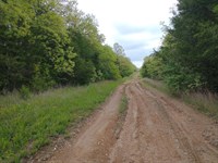Ozark Land Near Lakes and Rivers : Horseshoe Bend : Izard County : Arkansas