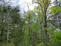 Owner Financing in Horseshoe Bend : Horseshoe Bend : Izard County : Arkansas