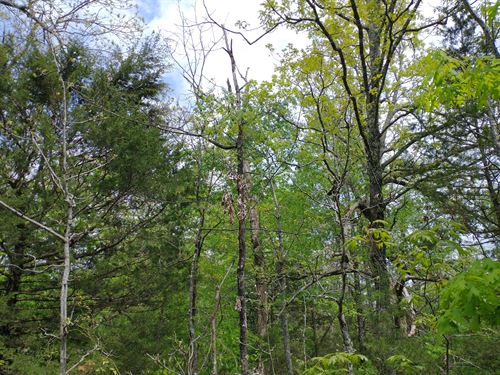 Owner Financing in Horseshoe Bend : Horseshoe Bend : Izard County : Arkansas