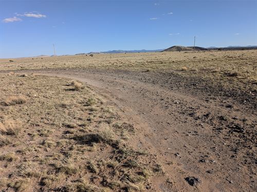 Your Affordable, Pristine, Getaway : Concho : Apache County : Arizona