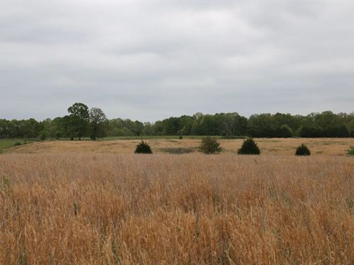 40 Acres in Sharp County, AR : Ravenden : Sharp County : Arkansas