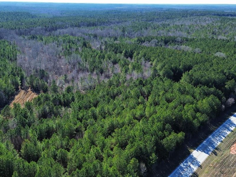 20 Acres Chambers County, AL : Roanoke : Chambers County : Alabama
