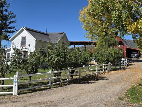 Arboles Bucks And Bulls : Ignacio : La Plata County : Colorado